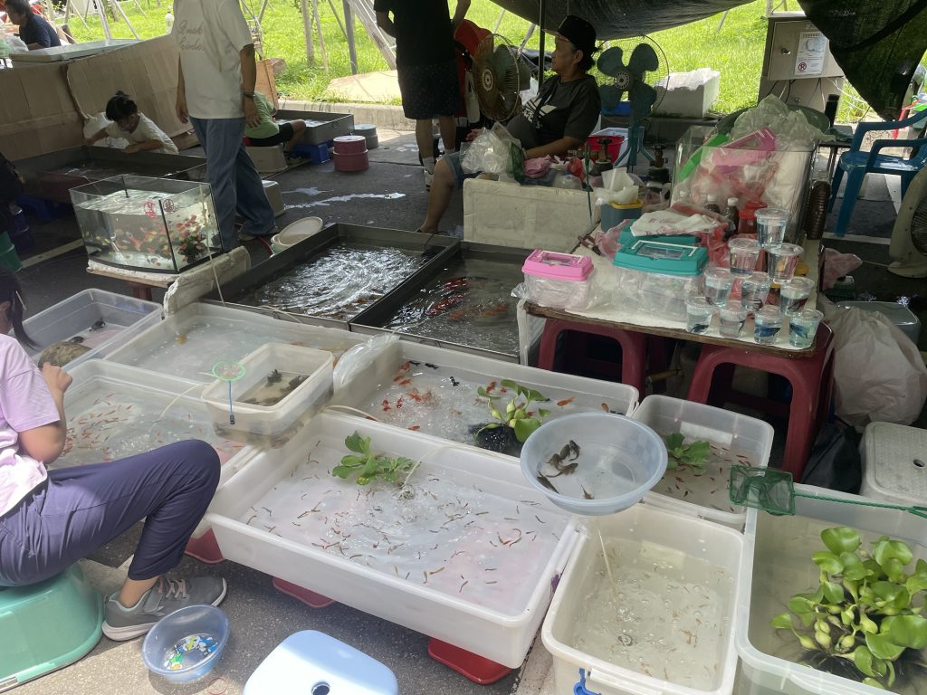 撈魚
