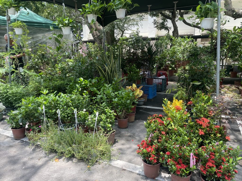 花市