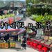 新竹假日花市