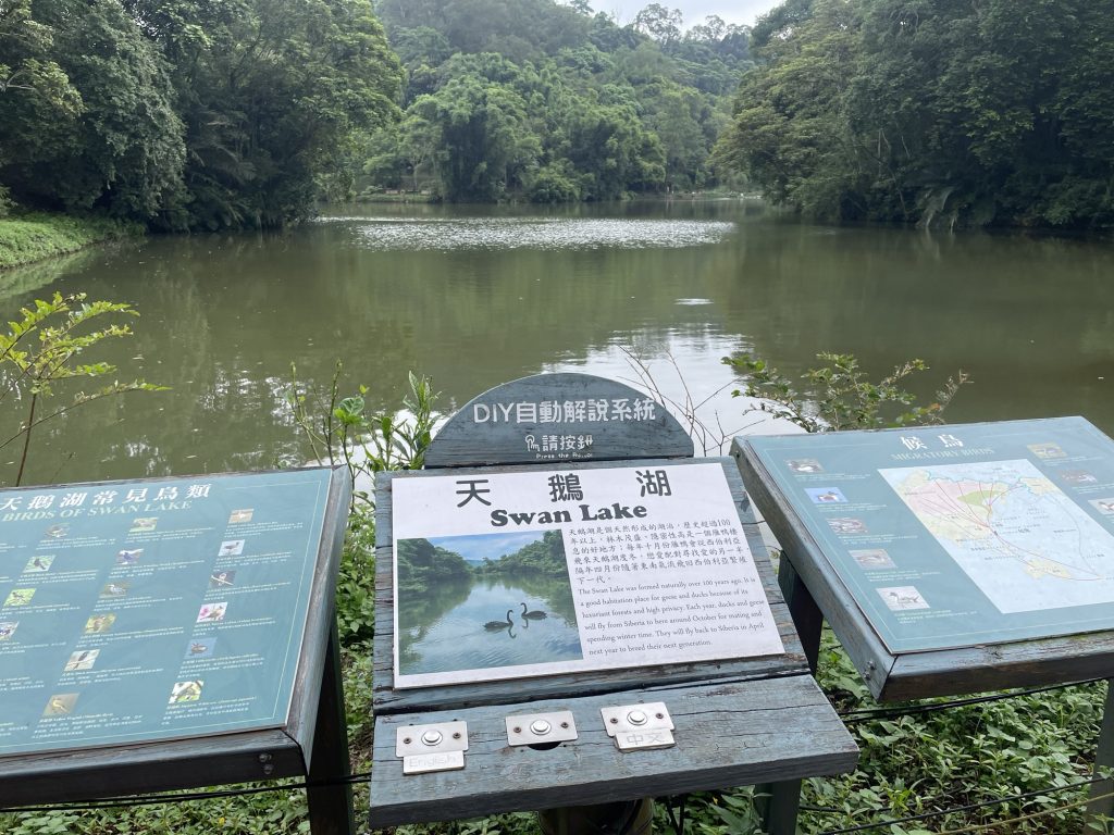 天鵝湖