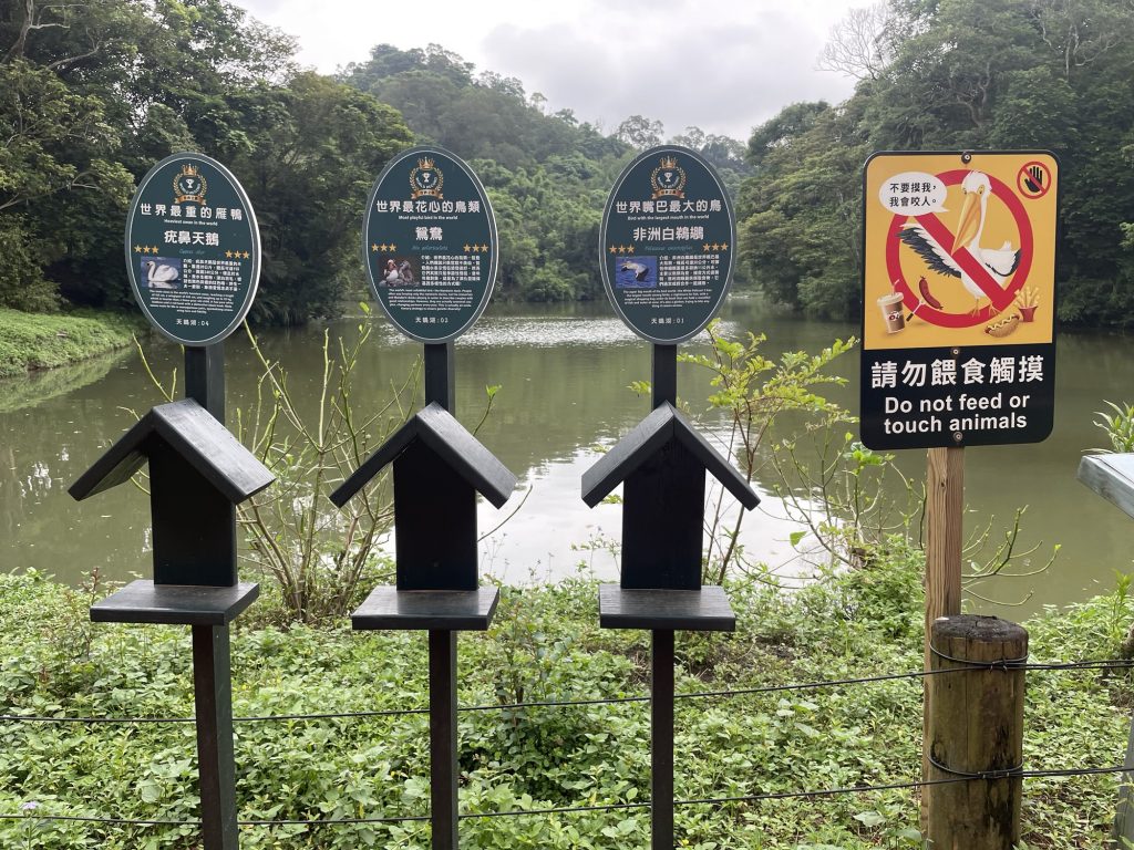 園區鳥類