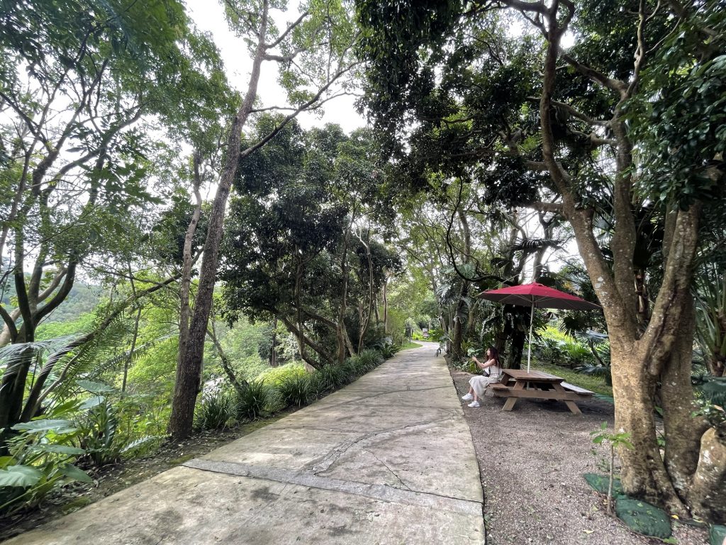 往鳥園路上