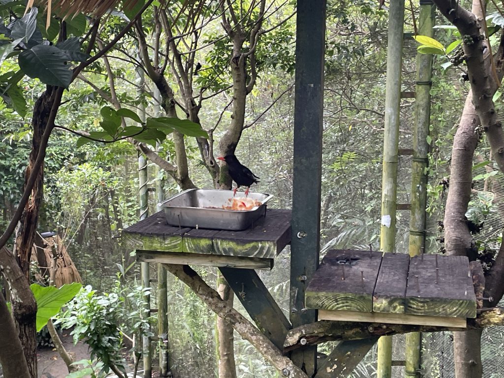 鳥園