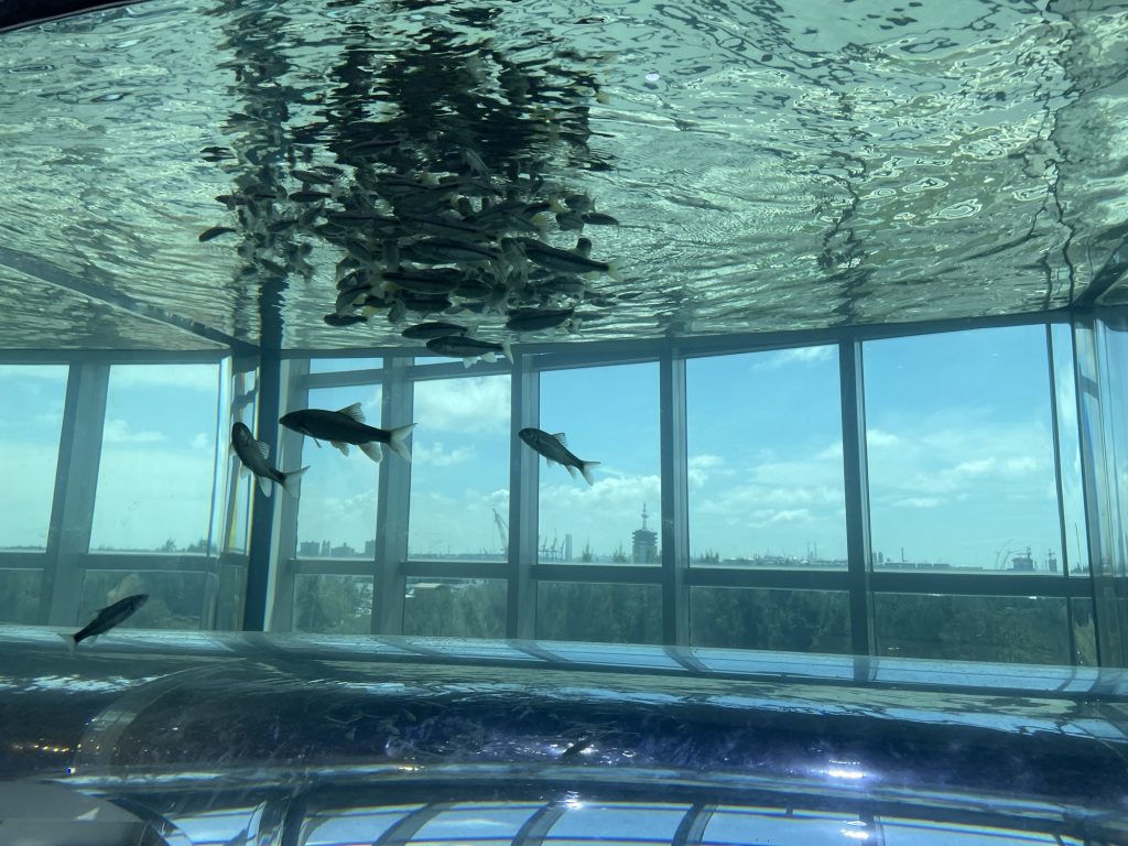 台中海洋館