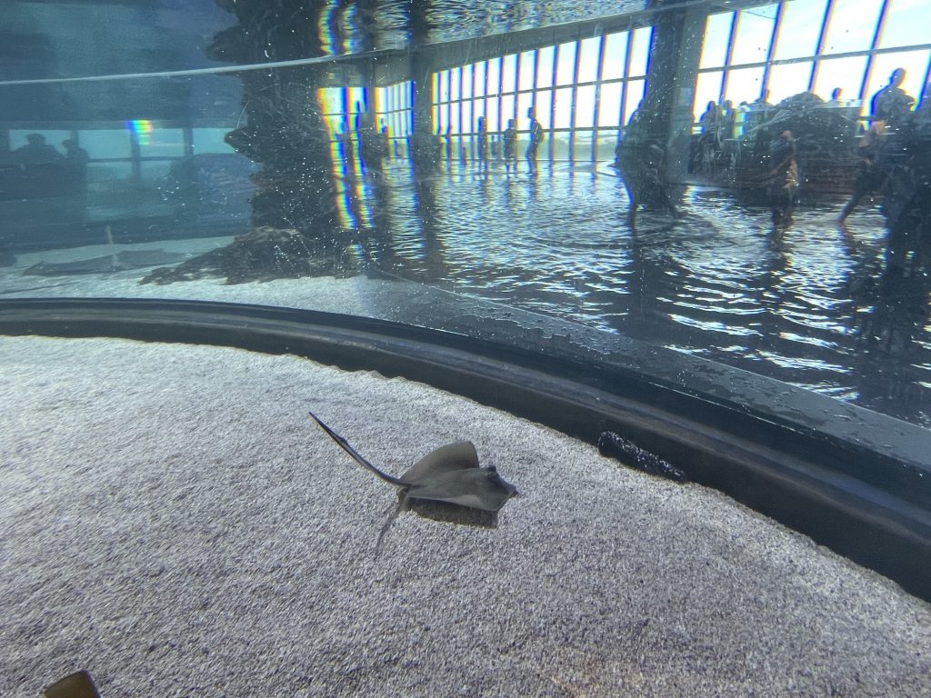 台中海洋館