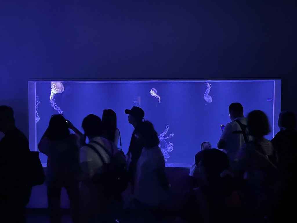 台中海洋館