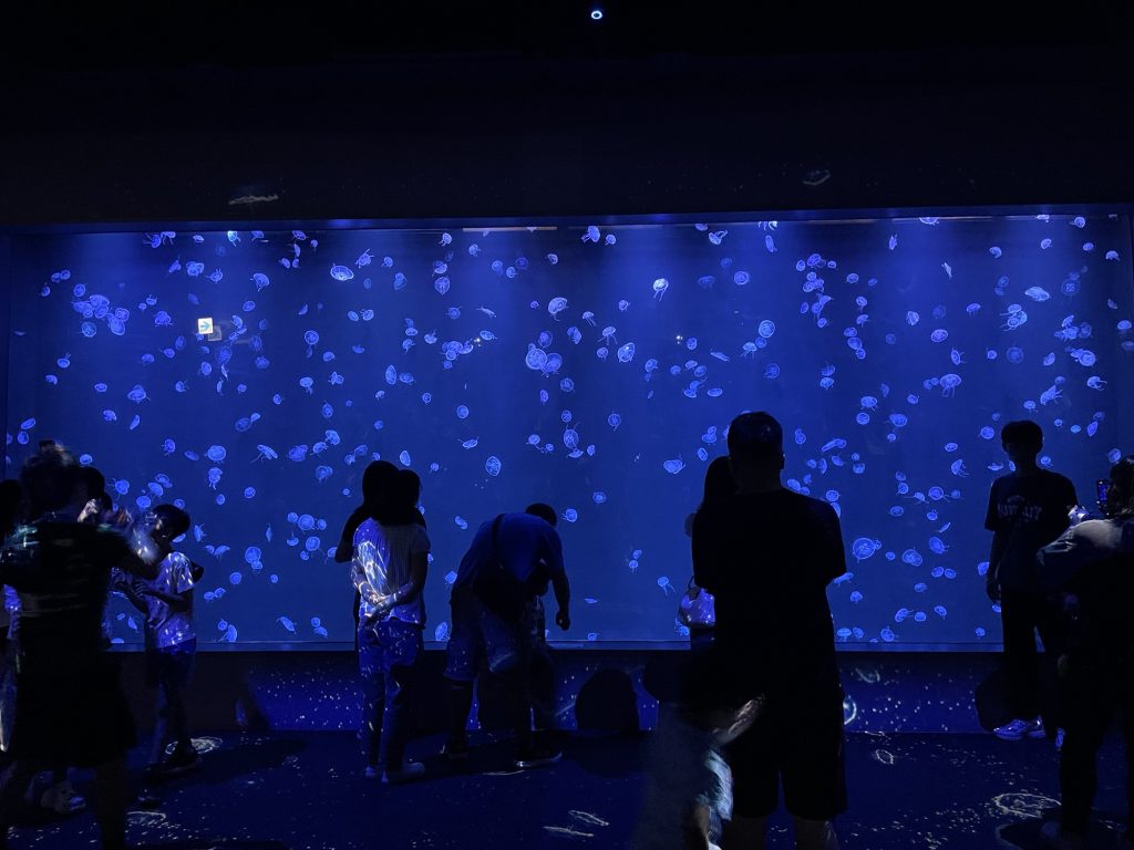 台中海洋館