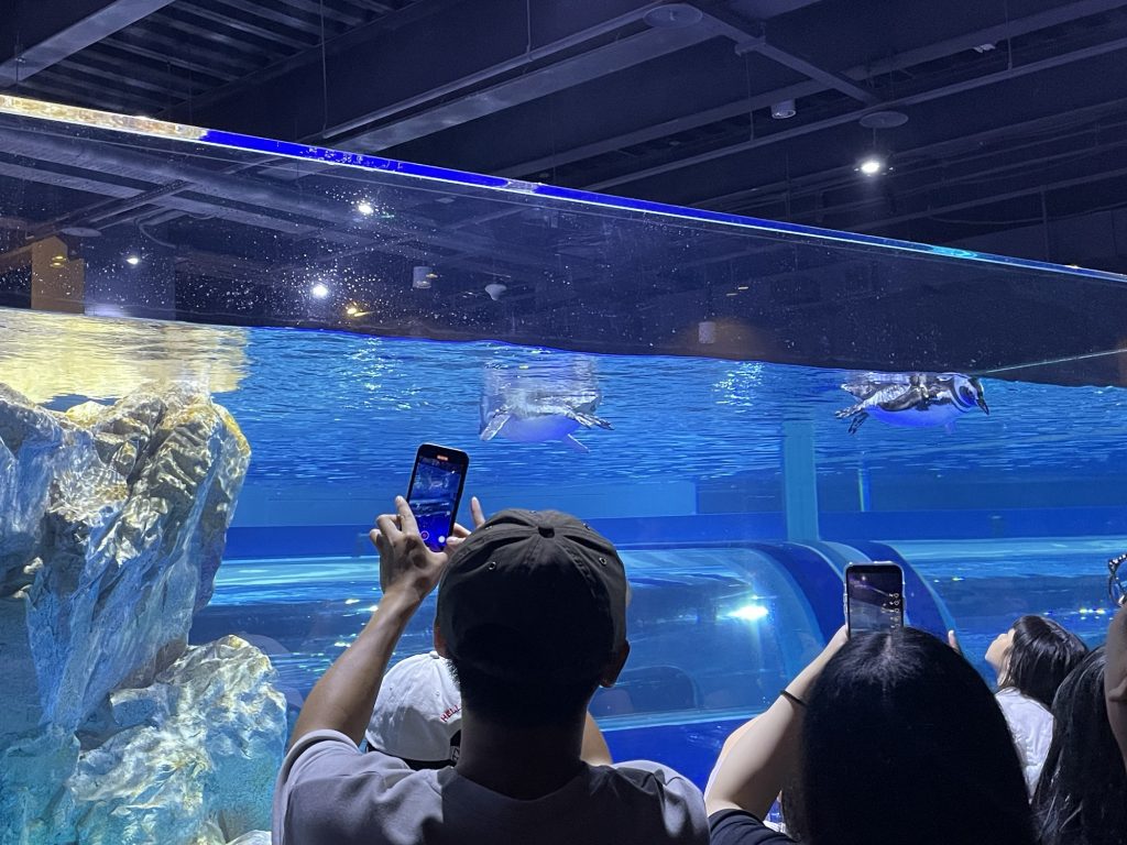 台中海洋館