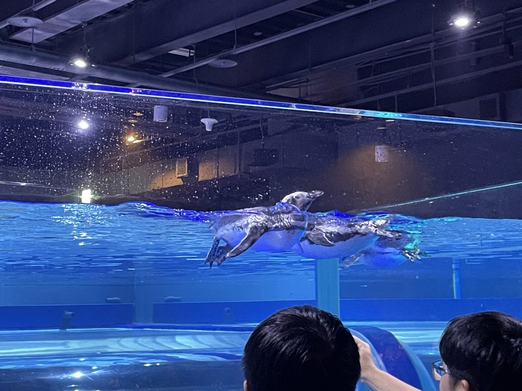台中海洋館