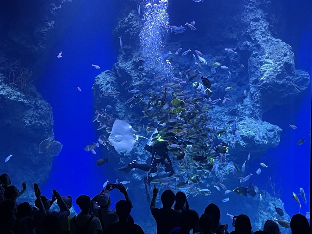 台中海洋館